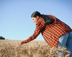 Cum să alegi topurile crop care să-ți pună în evidență talia